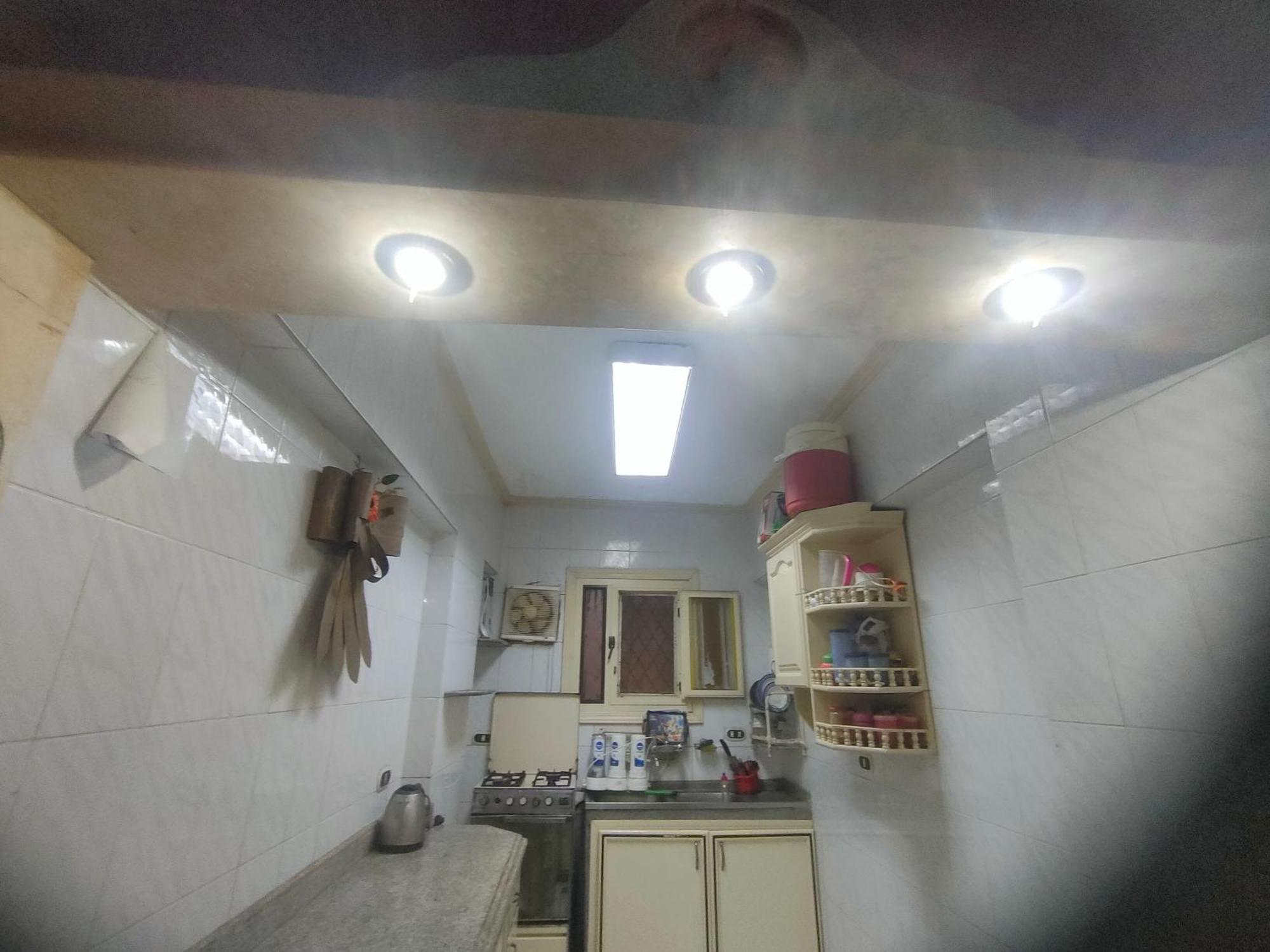 زهراء الهانوفيل العجمي * Alexandria
